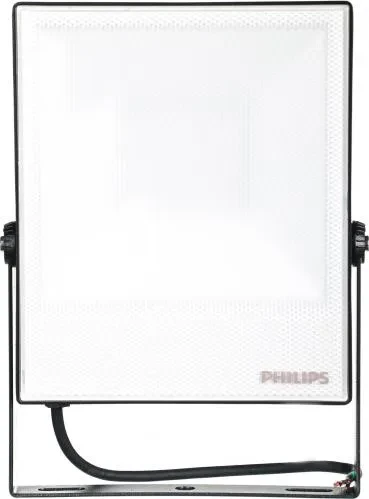 Прожектор LED PHILIPS 42/CW 50W 6500K 220-240V SWB CE Прожектор LED PHILIPS 42/CW 50W 6500K 220-240V SWB CE