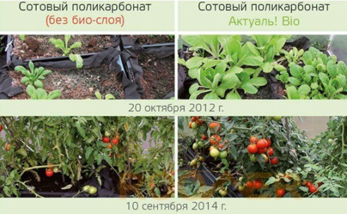 СОТОВЫЙ ПОЛИКАРБОНАТ ДЛЯ ТЕПЛИЦ-BIO